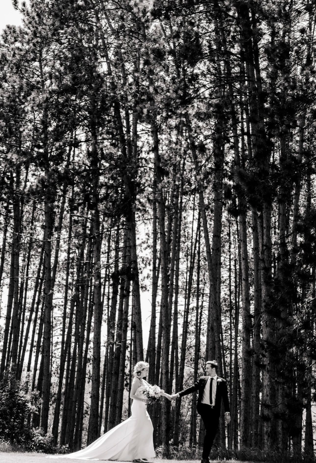 Image of the woods in black and white.