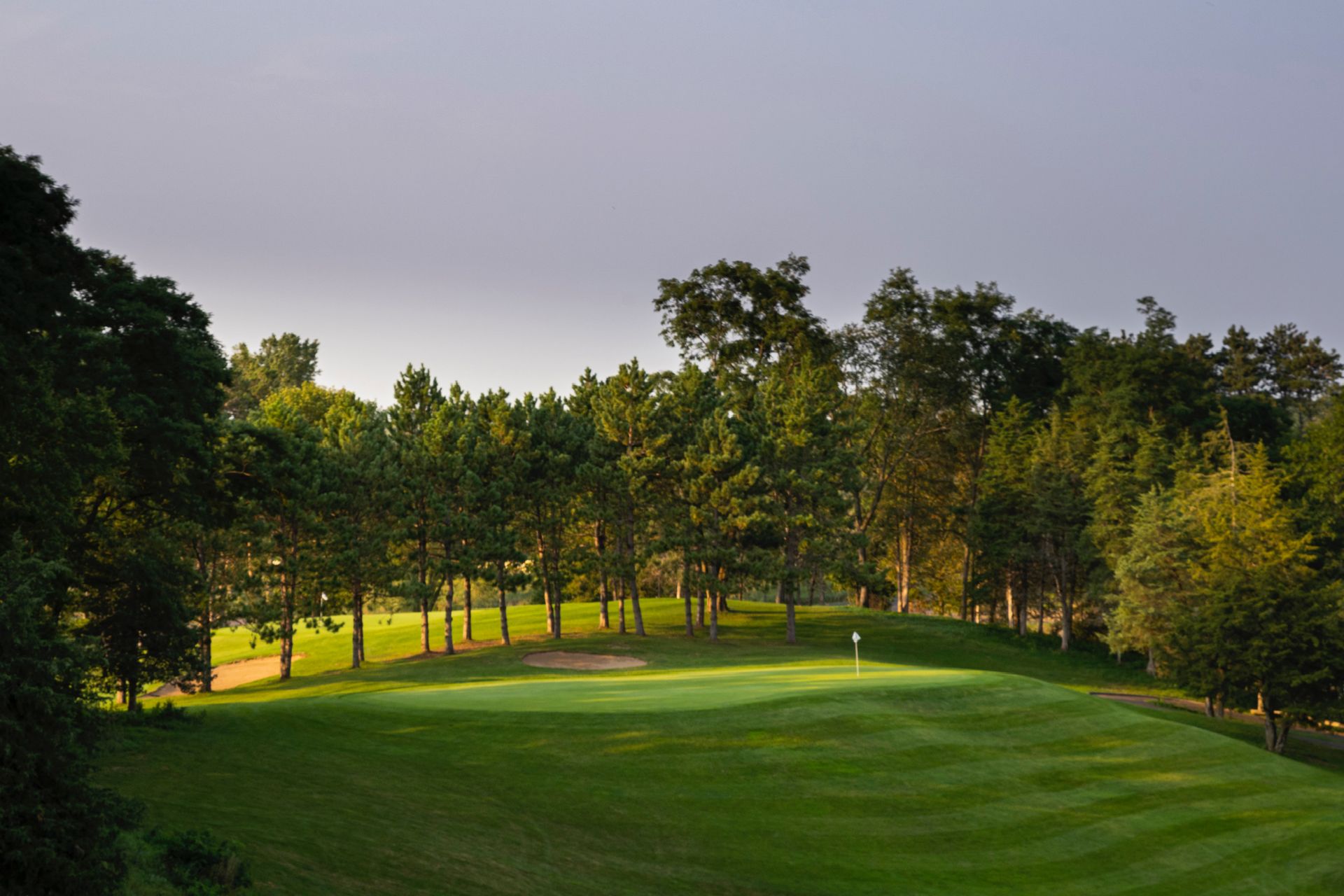 A golf course with trees on the side of it