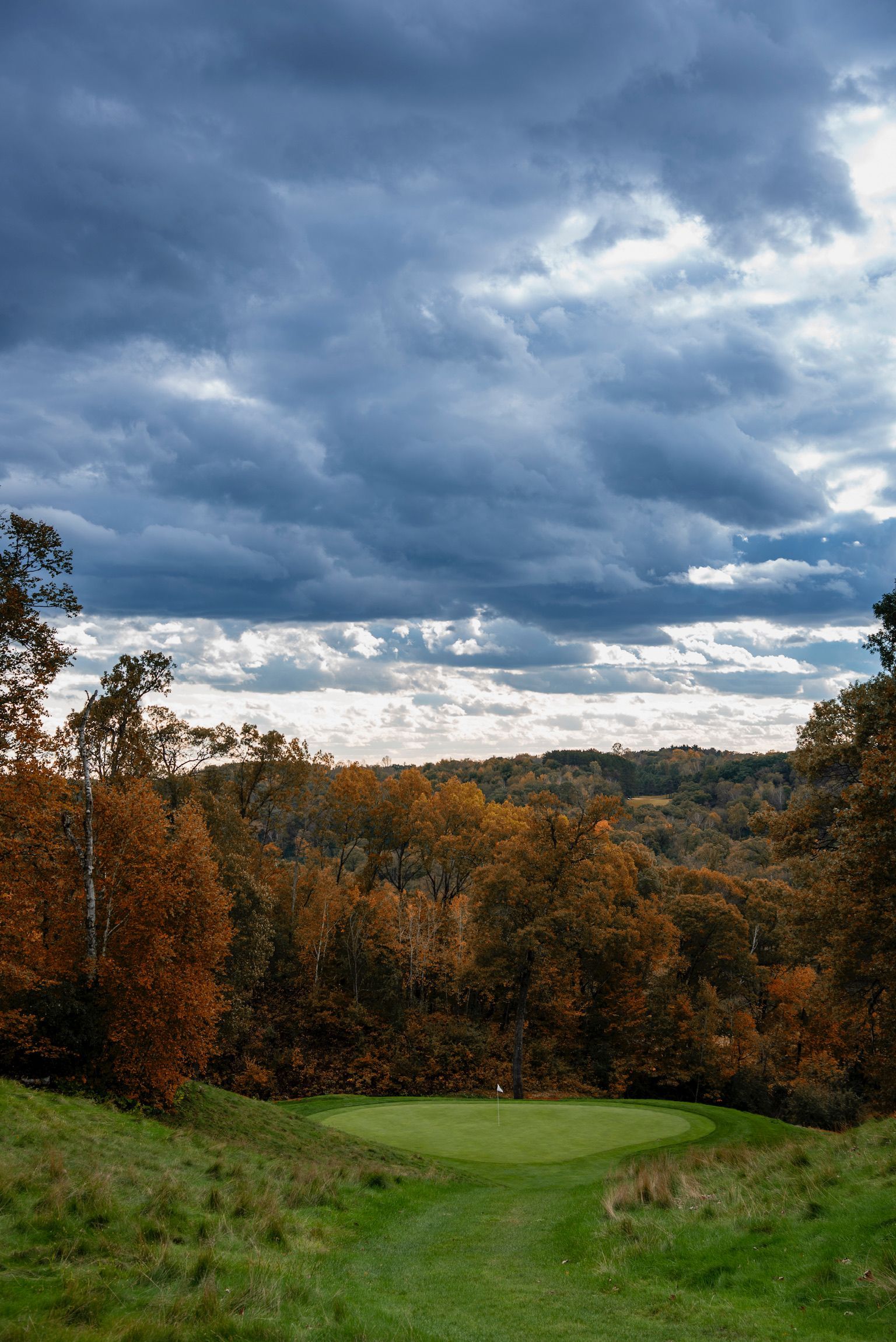 A green field with trees in the background and a cloudy sky.