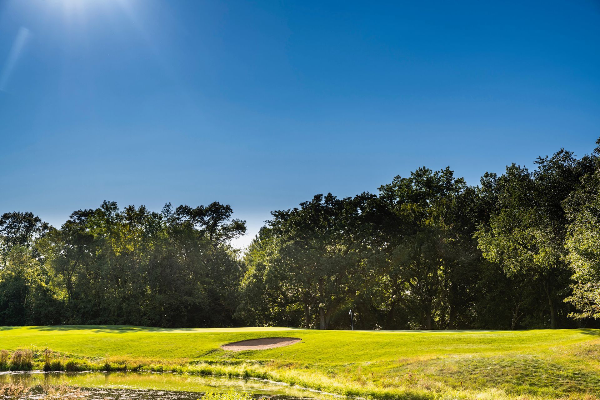 There is a pond in the middle of a field with trees in the background.