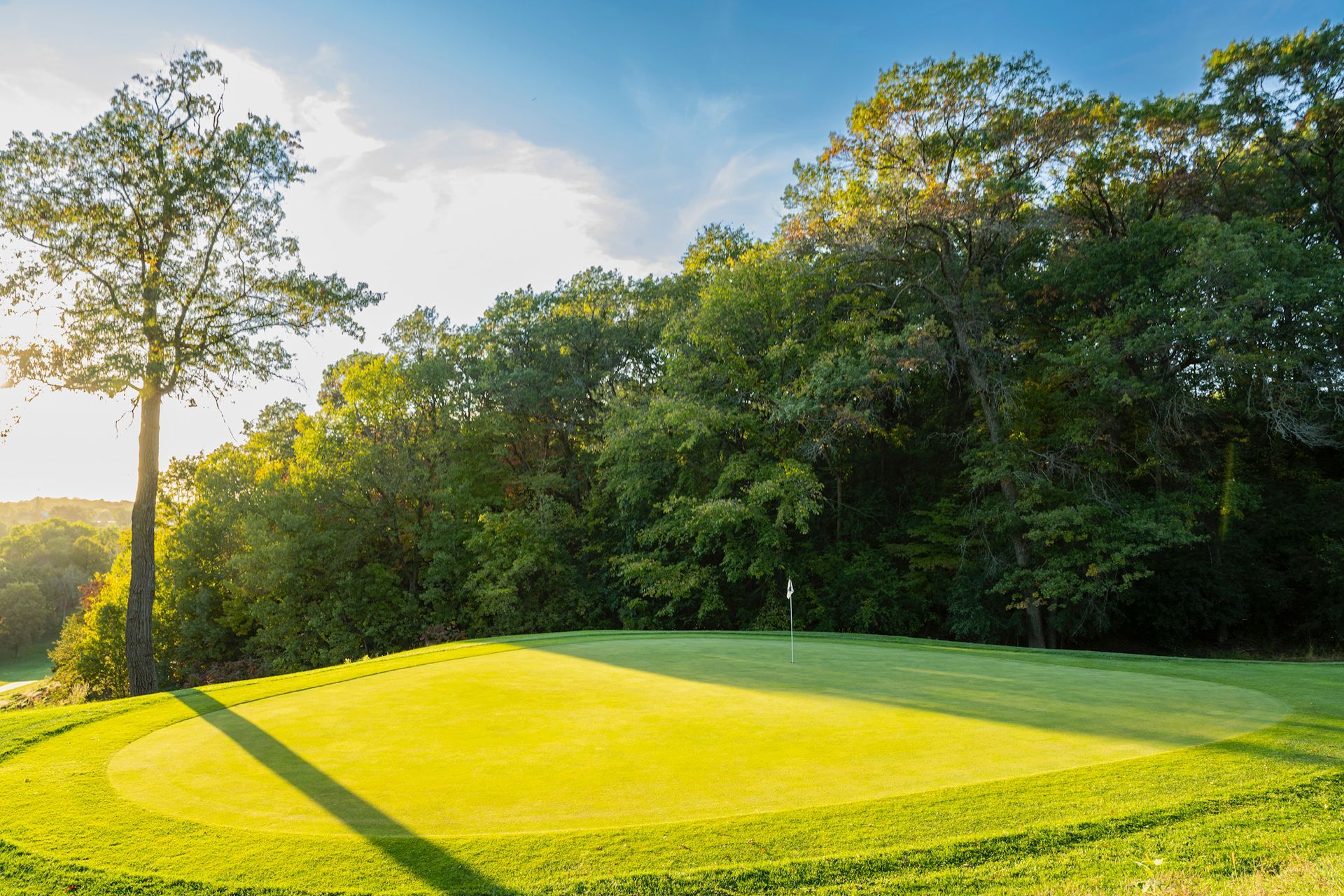 A golf course with a green and trees in the background.