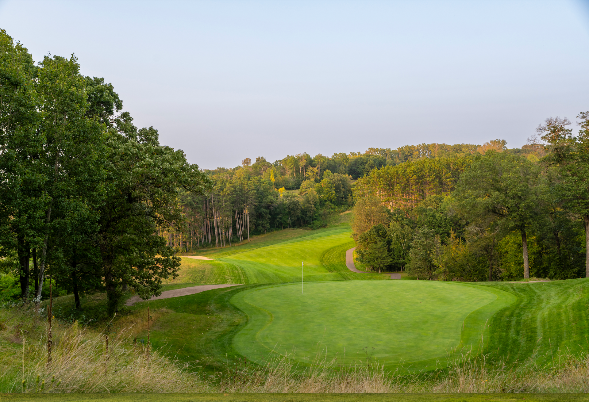 The sun is shining through the trees on a golf course