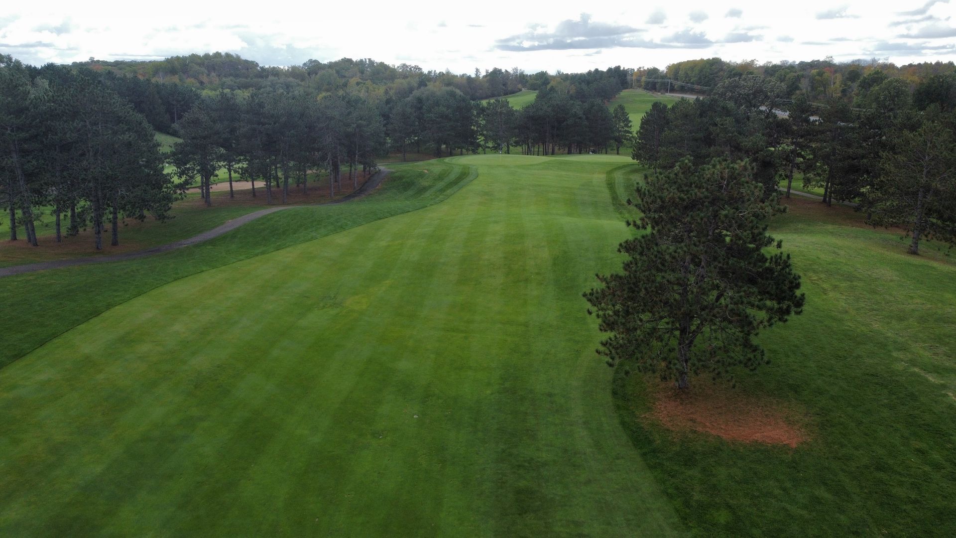 A golf course with a green in the middle of a forest.