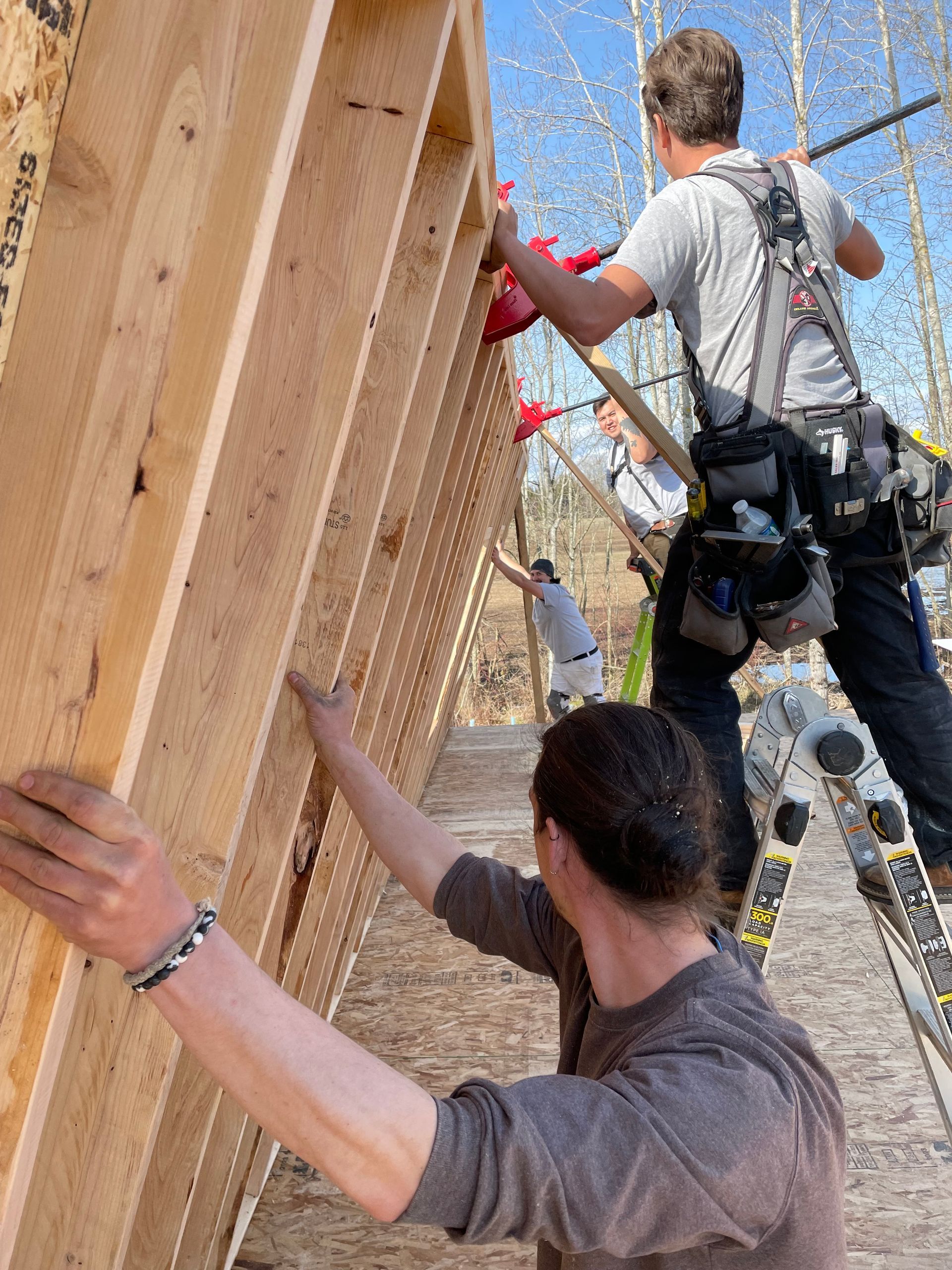 flowers on kitchen table