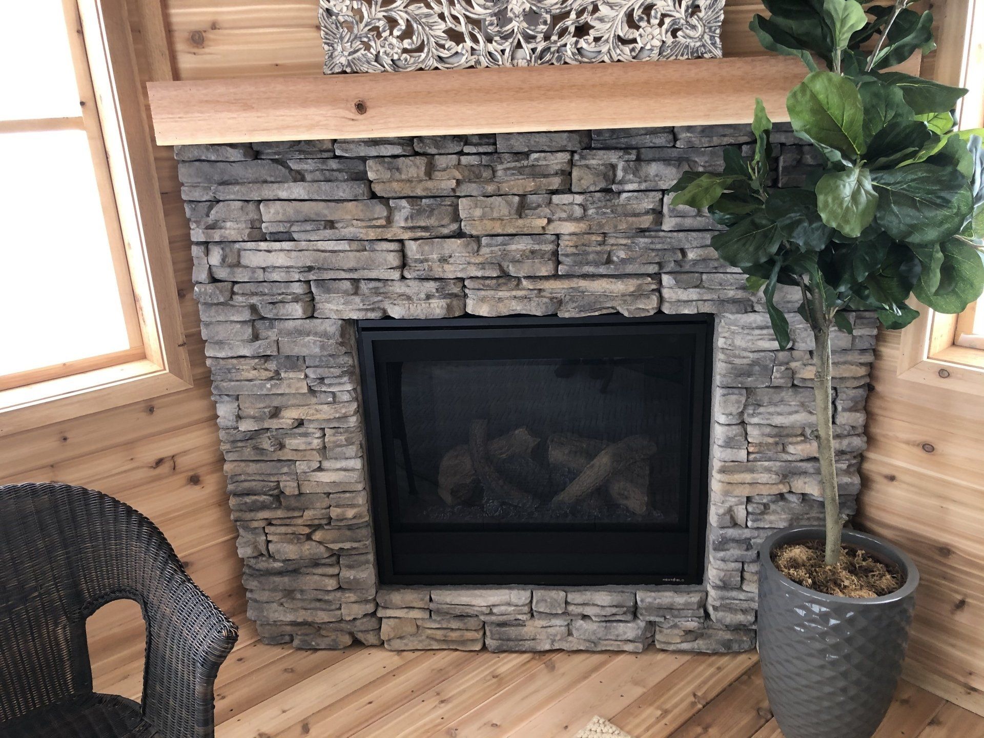 A fireplace with a potted plant in front of it