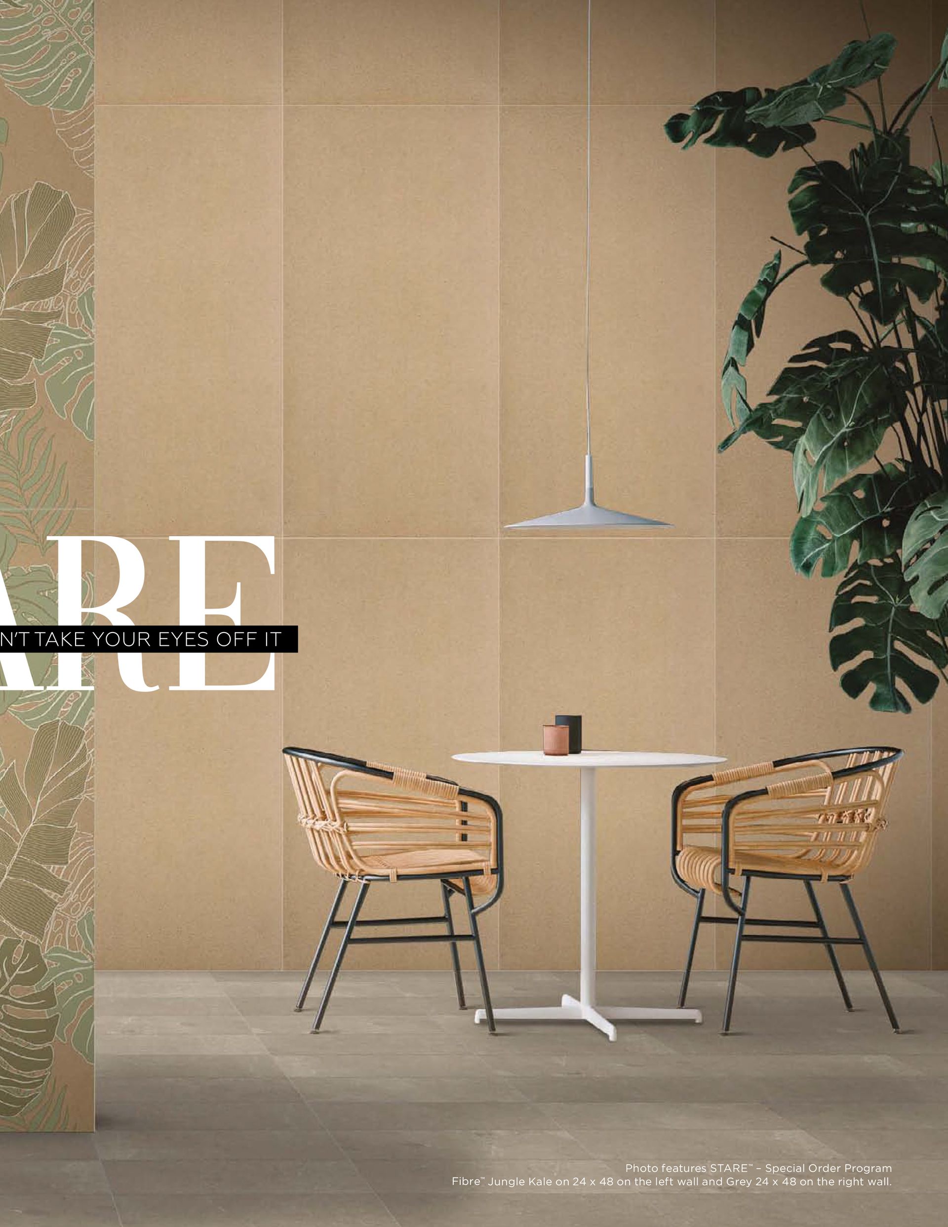 A room with a table and chairs and a plant.