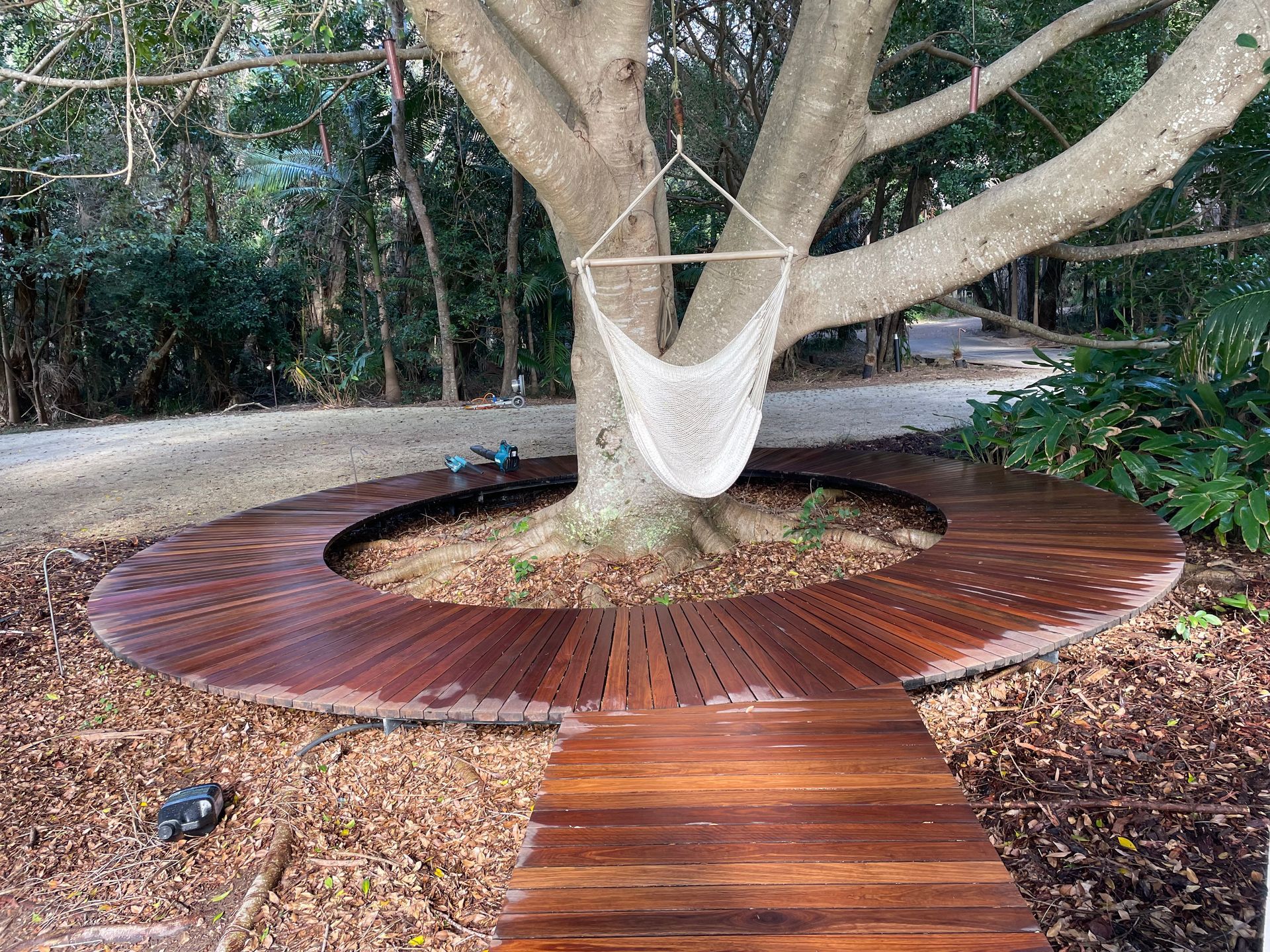 Wooden deck surrounding a tree with a hammock, pathway leading to it — CM Timber Flooring in East Ballina, NSW