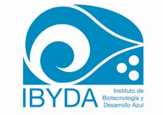 www.ibyda.es