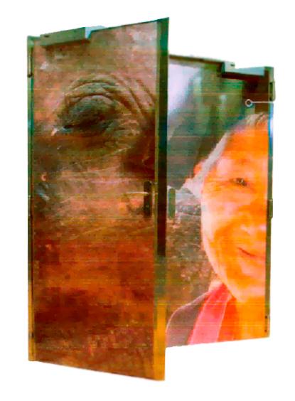 bless metal puertas de salida de emergencia personalizada