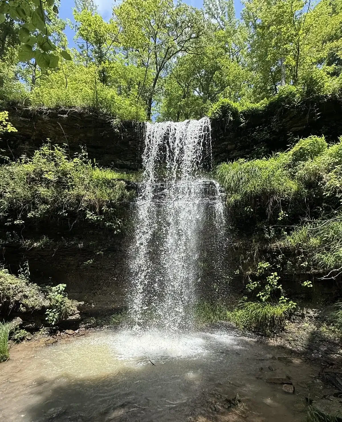 A small waterfall cascading into a rocky pool surrounded by lush green trees and shrubs.