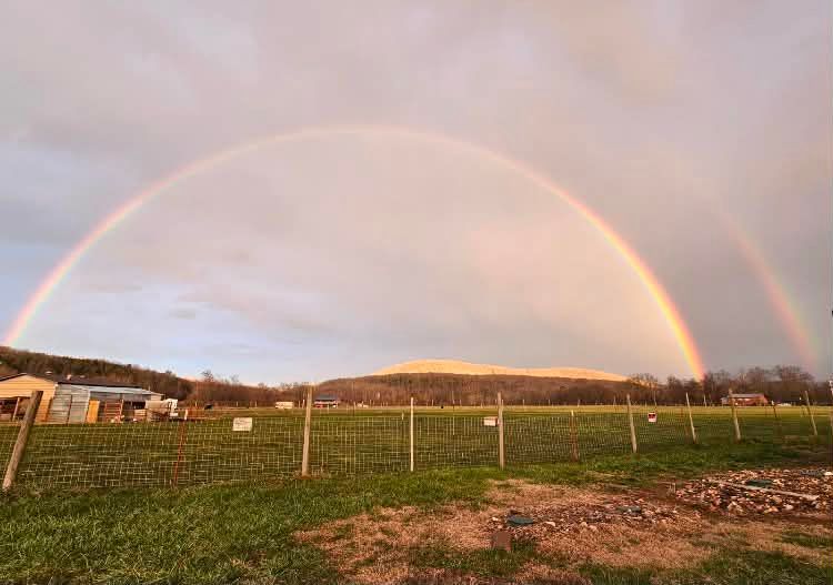 Double rainbow over a rural field at sunset, with hills and fence posts in the foreground