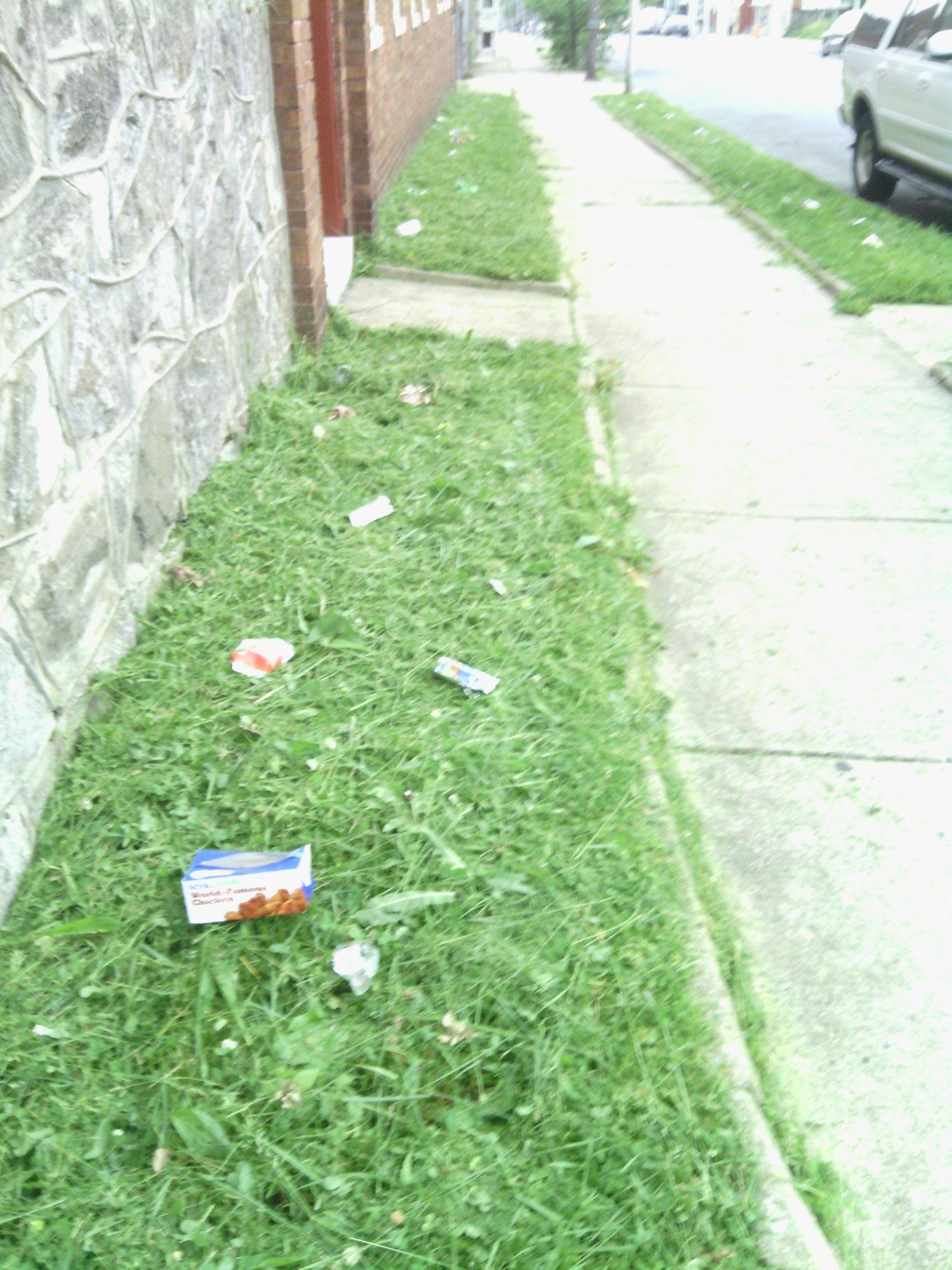 A sidewalk with a lot of grass and trash on it