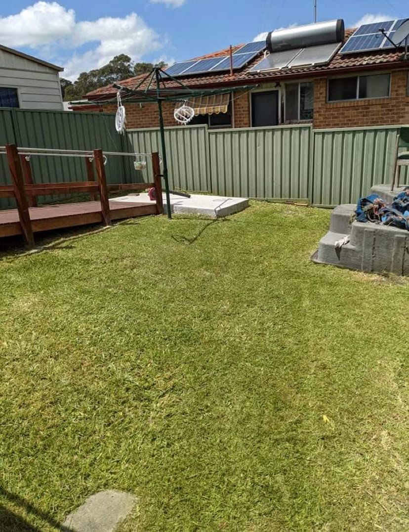 Backyard Landscape After Cleaning — Saving Time In Charlestown NSW