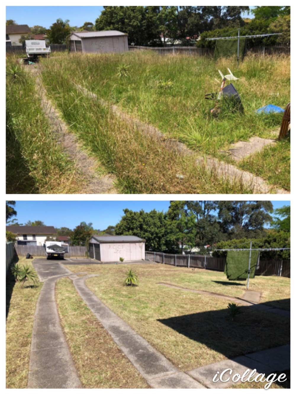 Before And After Landscaping Lawn Mowing — Saving Time In Charlestown NSW
