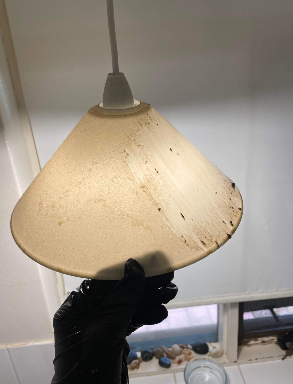 Before Cleaning Chandelier Cleiling Lamp — Saving Time In Charlestown NSW