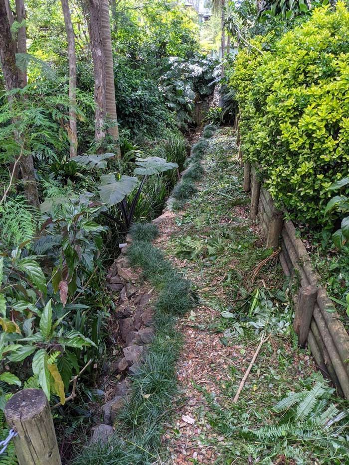 Before Cleaning The Pathway Garden — Saving Time In Charlestown NSW