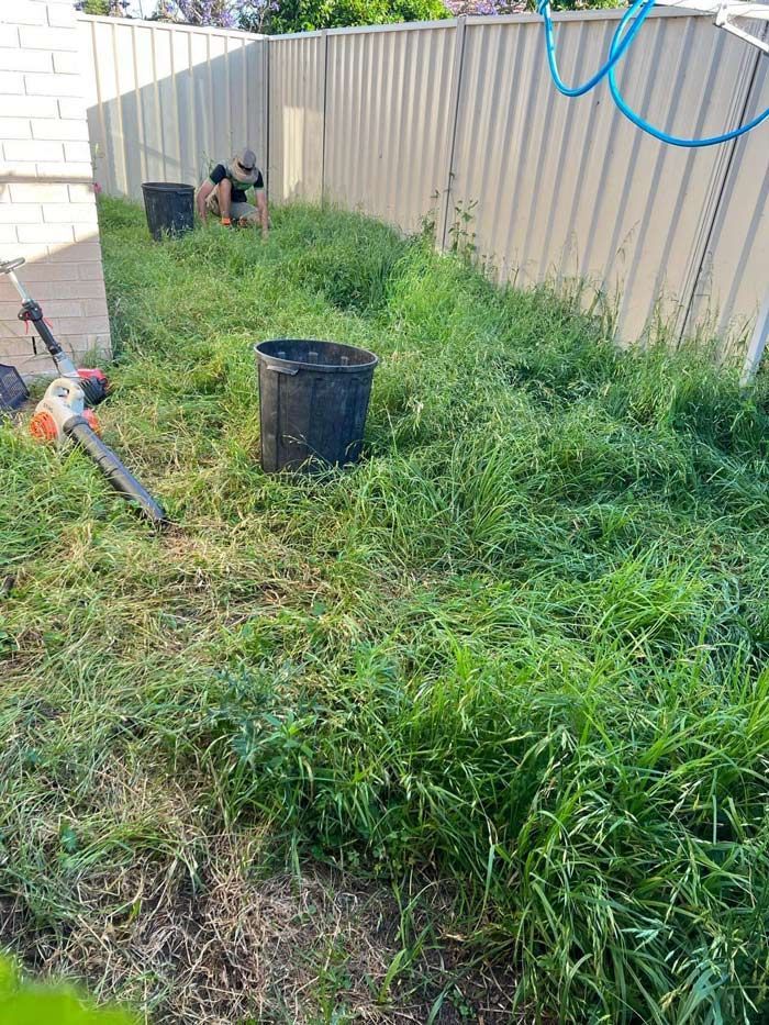 Before Mowing The Lawn — Saving Time In Charlestown NSW