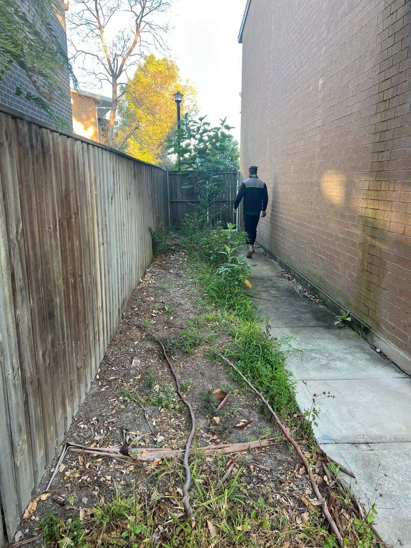 Before The Backyard Walkway Cleaning — Saving Time In Charlestown NSW