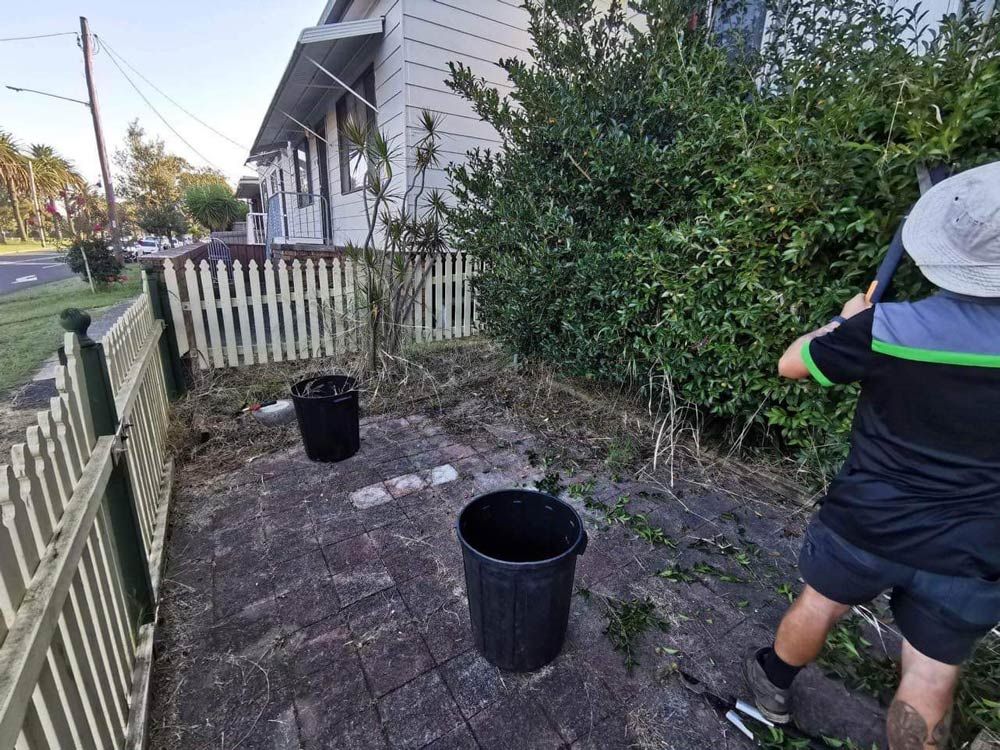 Cleaning And Trimming Garden On The Backyard Before — Saving Time In Charlestown NSW