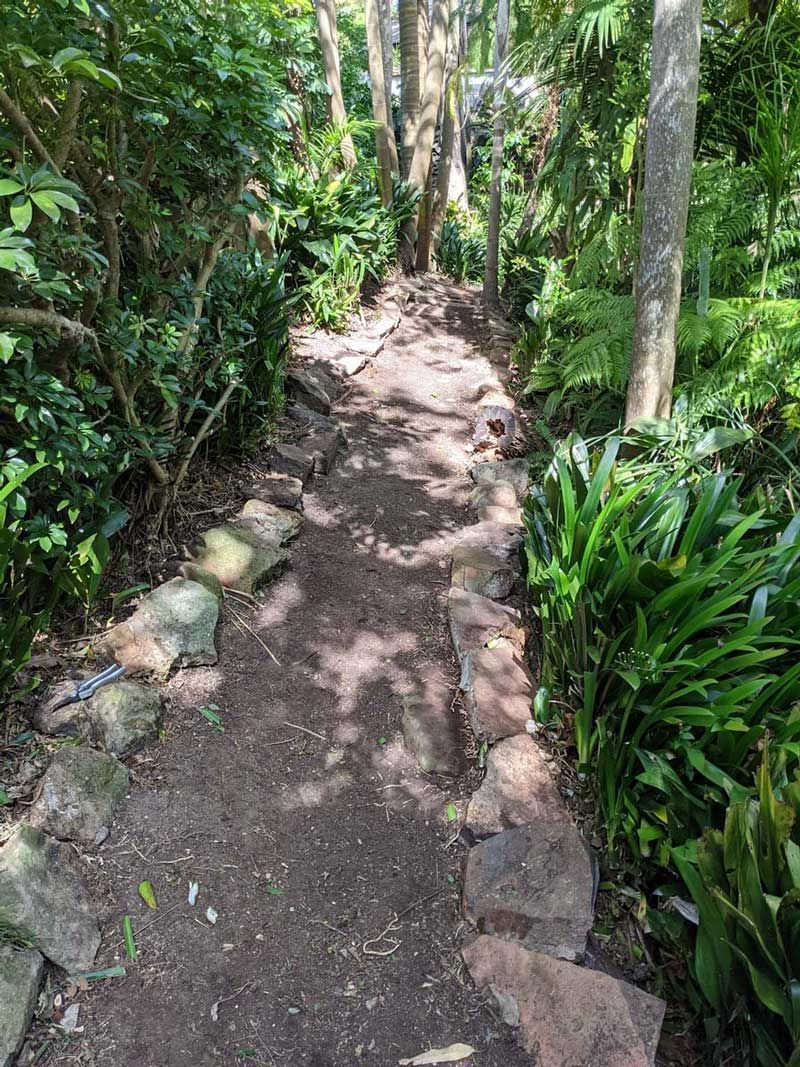 New Clean The Plant On The Garden — Saving Time In Lake Macquarie NSW