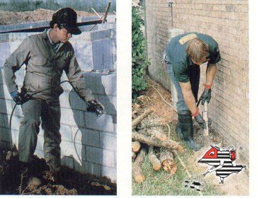 Descupinização - São Paulo Desentupidora e Dedetizadora