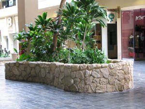 View of coral veneer stone wall