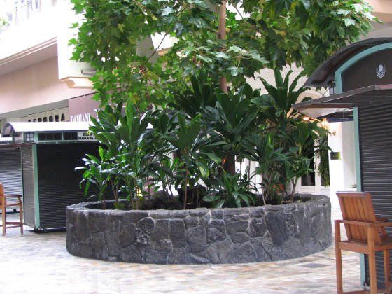 Lava veneer stone wall