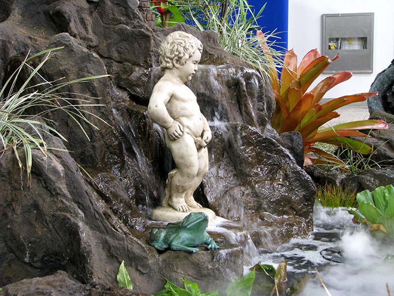 View of garden water feature