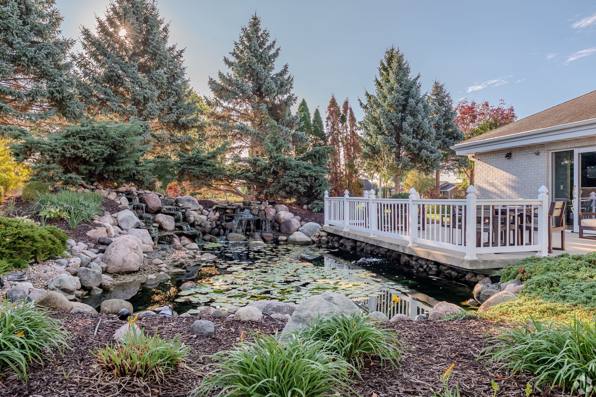Landscaped pond with waterfall, white deck, and evergreen trees beside a house