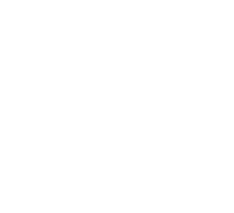 Weisses Logo der Belle-Immo AG