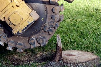 Stump removal