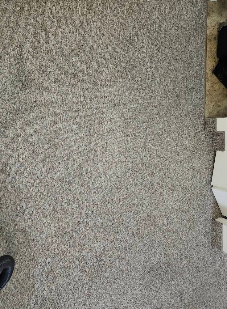 Gray speckled carpet with a partial view of white foam and a black object.