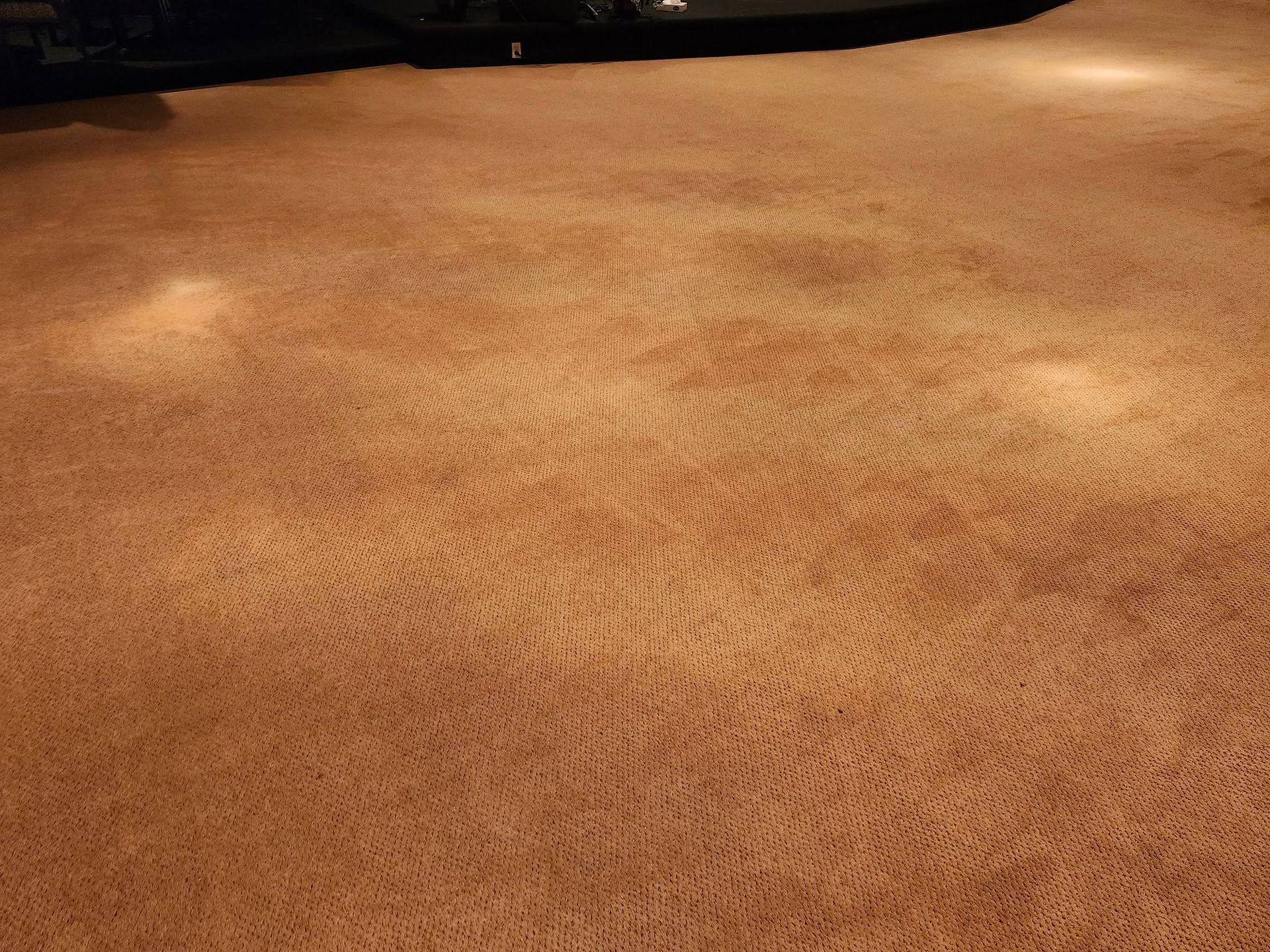 Brown carpet with visible cleaning pattern lit by overhead lights.
