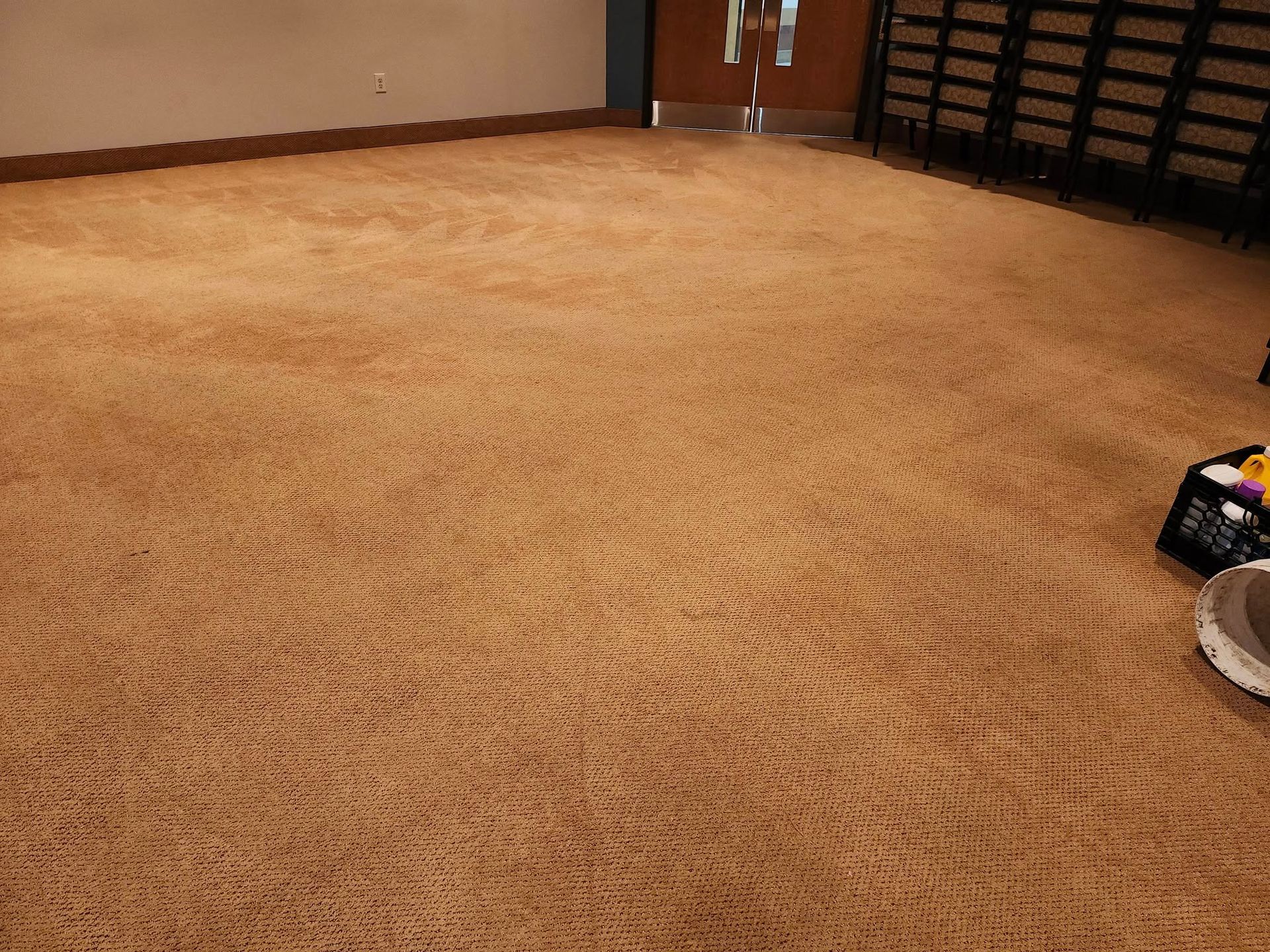 Tan patterned carpet in a large room, near a door, and some chairs.