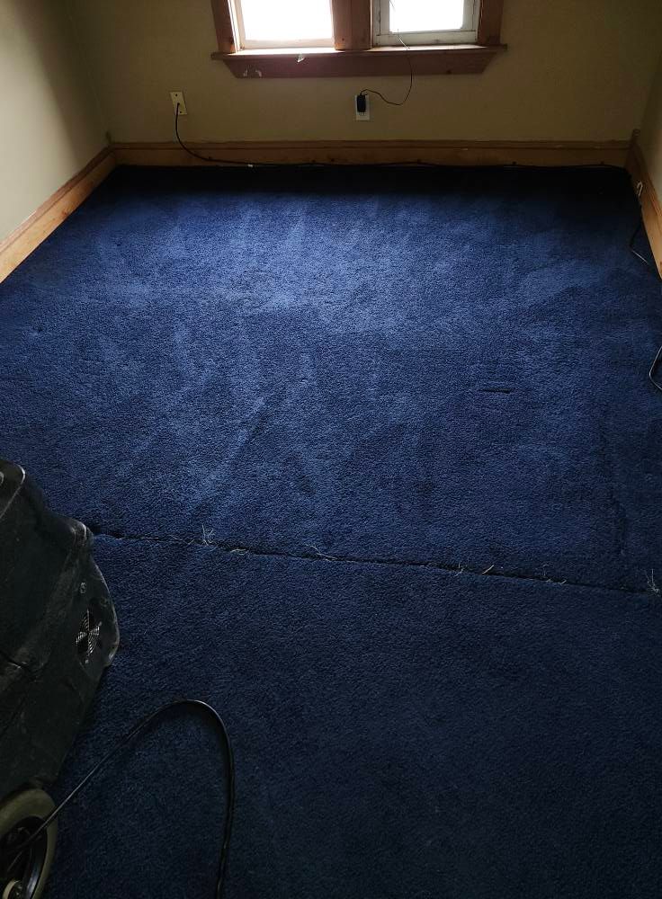 Blue carpeted room with a window, showing cleaning machine in the corner.