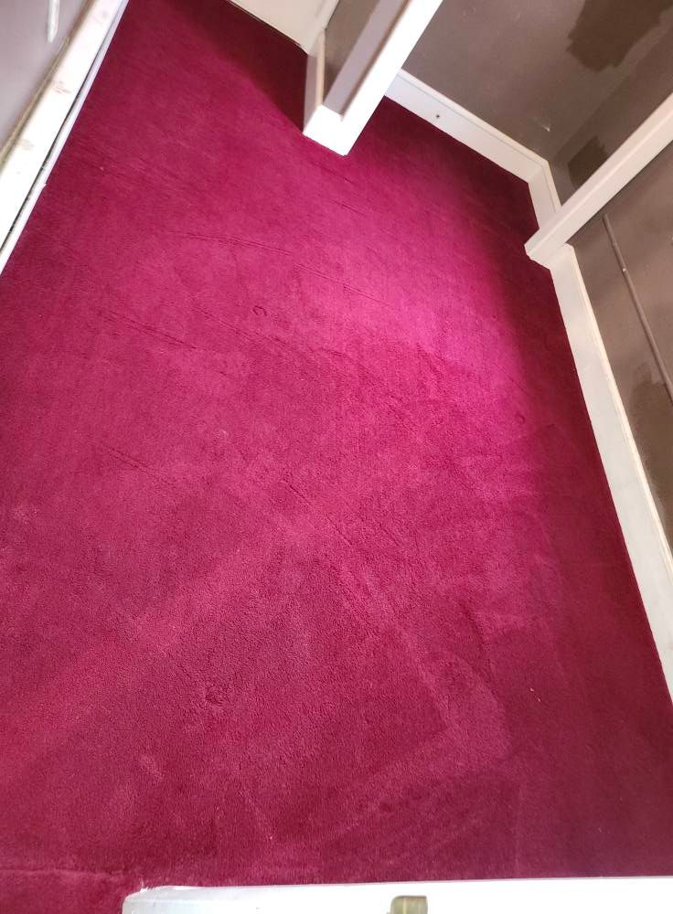 Magenta carpeted room with white trim.