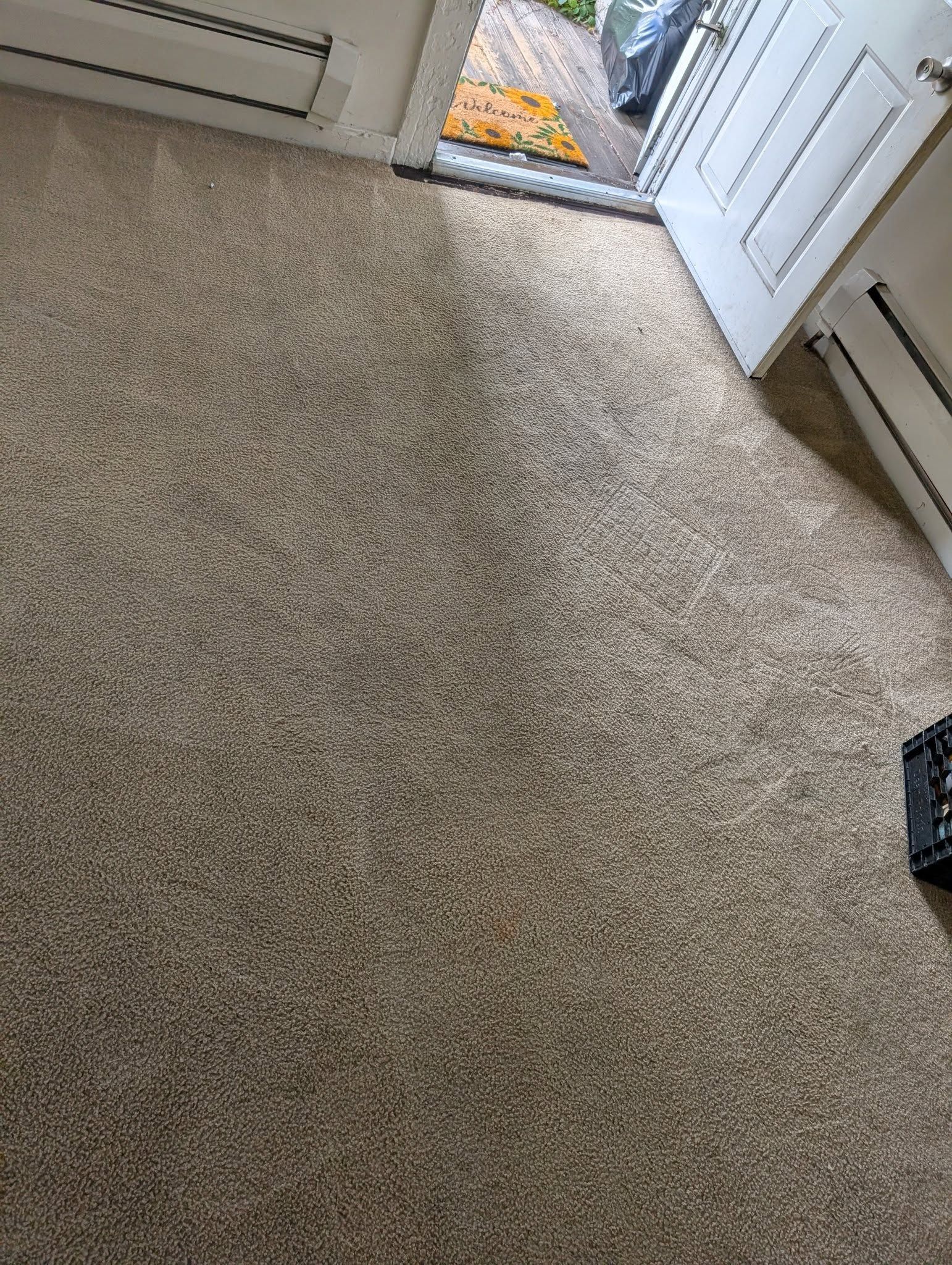 Beige carpet in a room with a partially open white door.