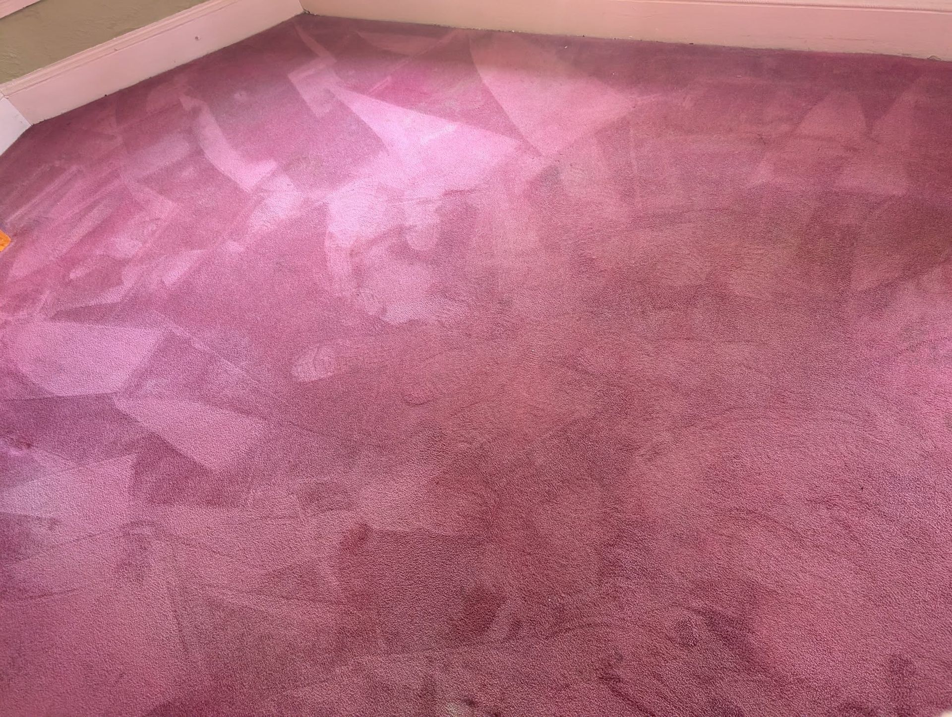 Pink carpet with visible cleaning streaks against white trim.