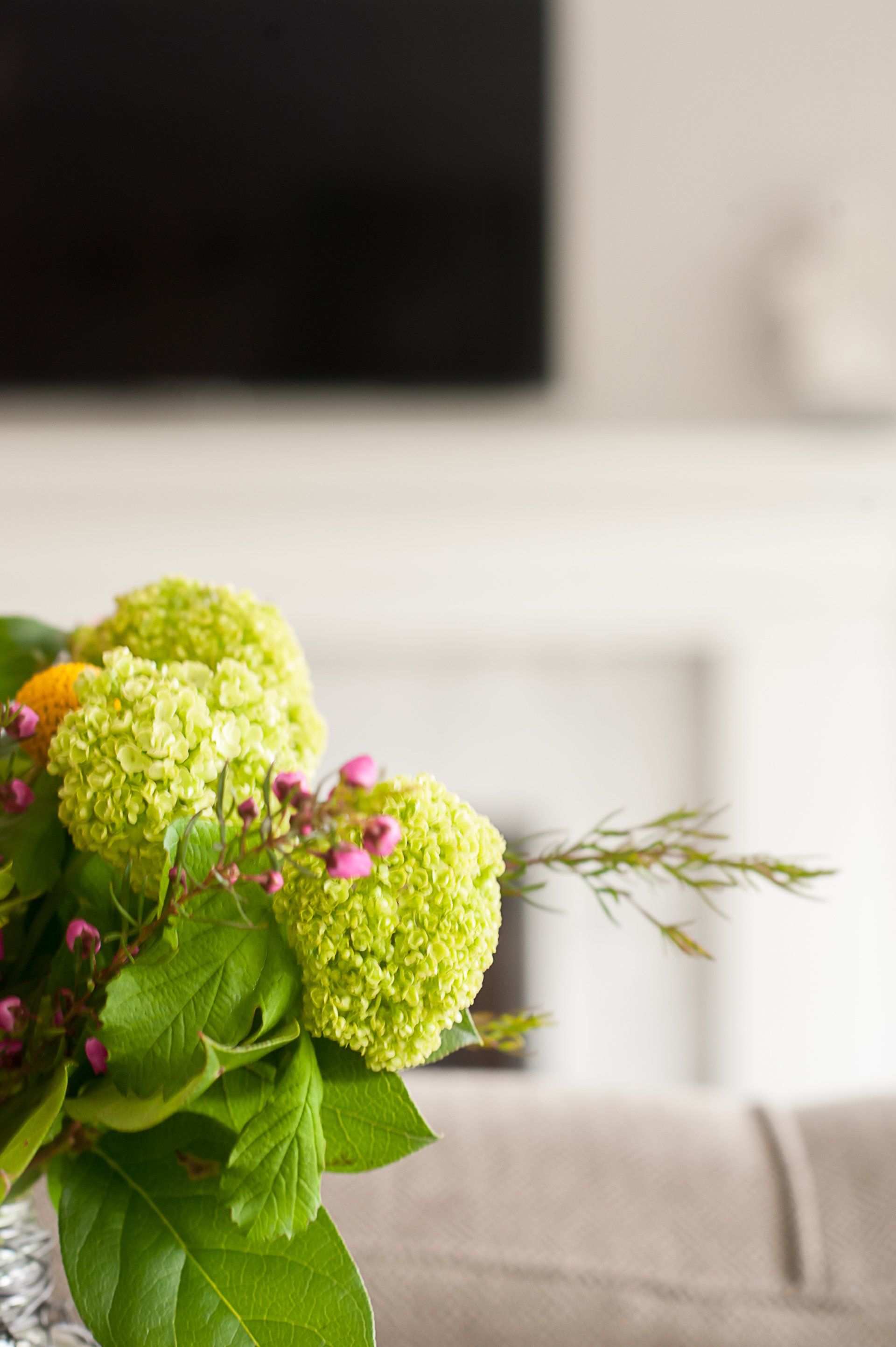 A vase filled with green flowers is sitting on a table in a living room.