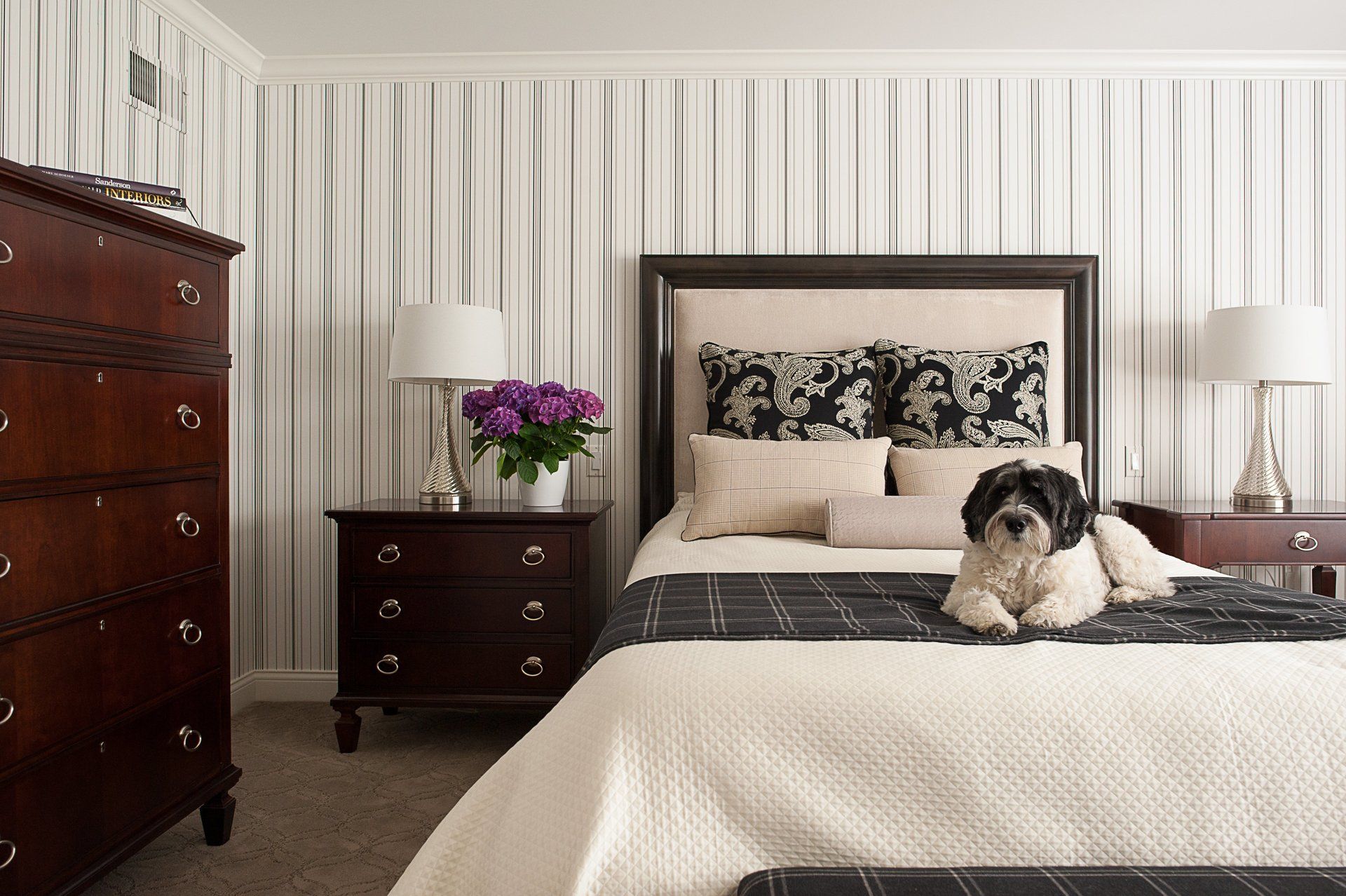 A dog is laying on a bed in a bedroom.