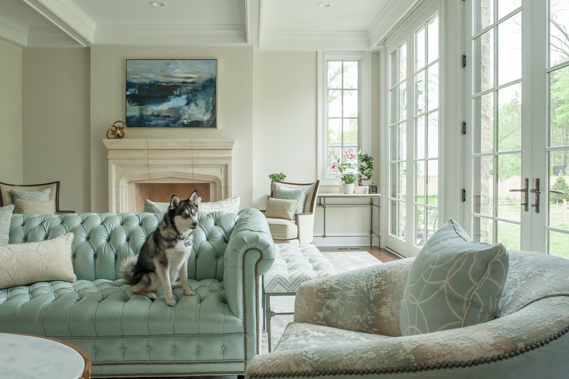 A dog is sitting on a blue couch in a living room.