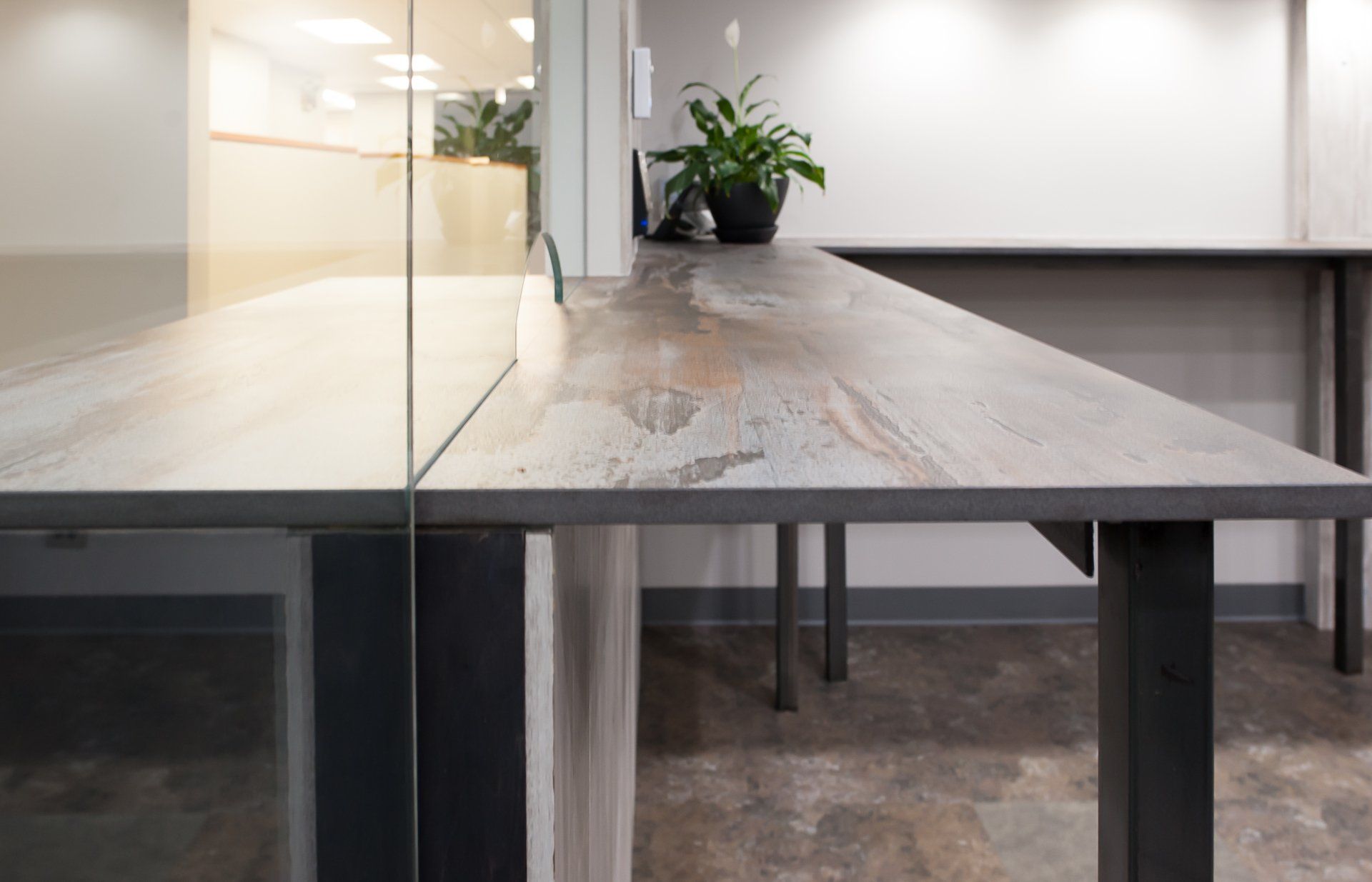 A desk with a plant on top of it in an office.