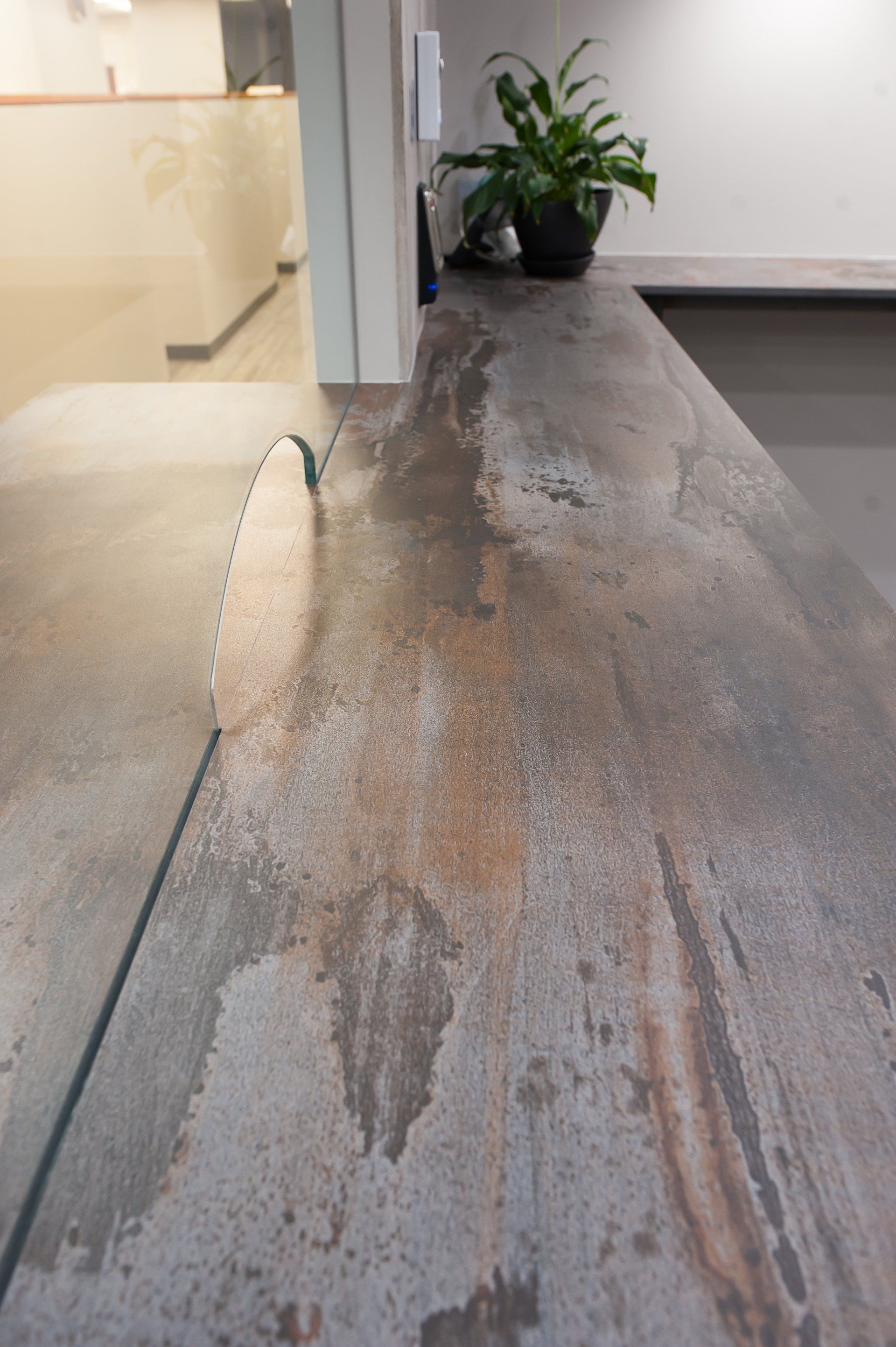 A close up of a counter top with a plant on it.