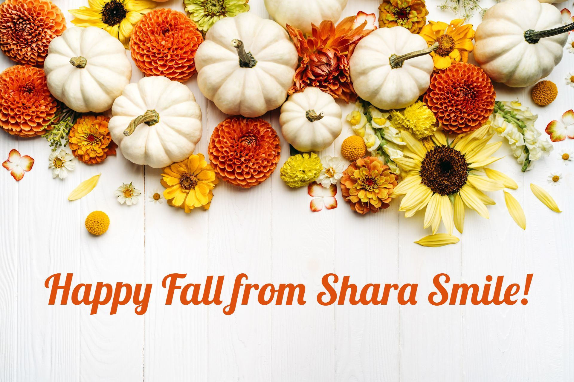 White pumpkins and orange flowers arranged with text 