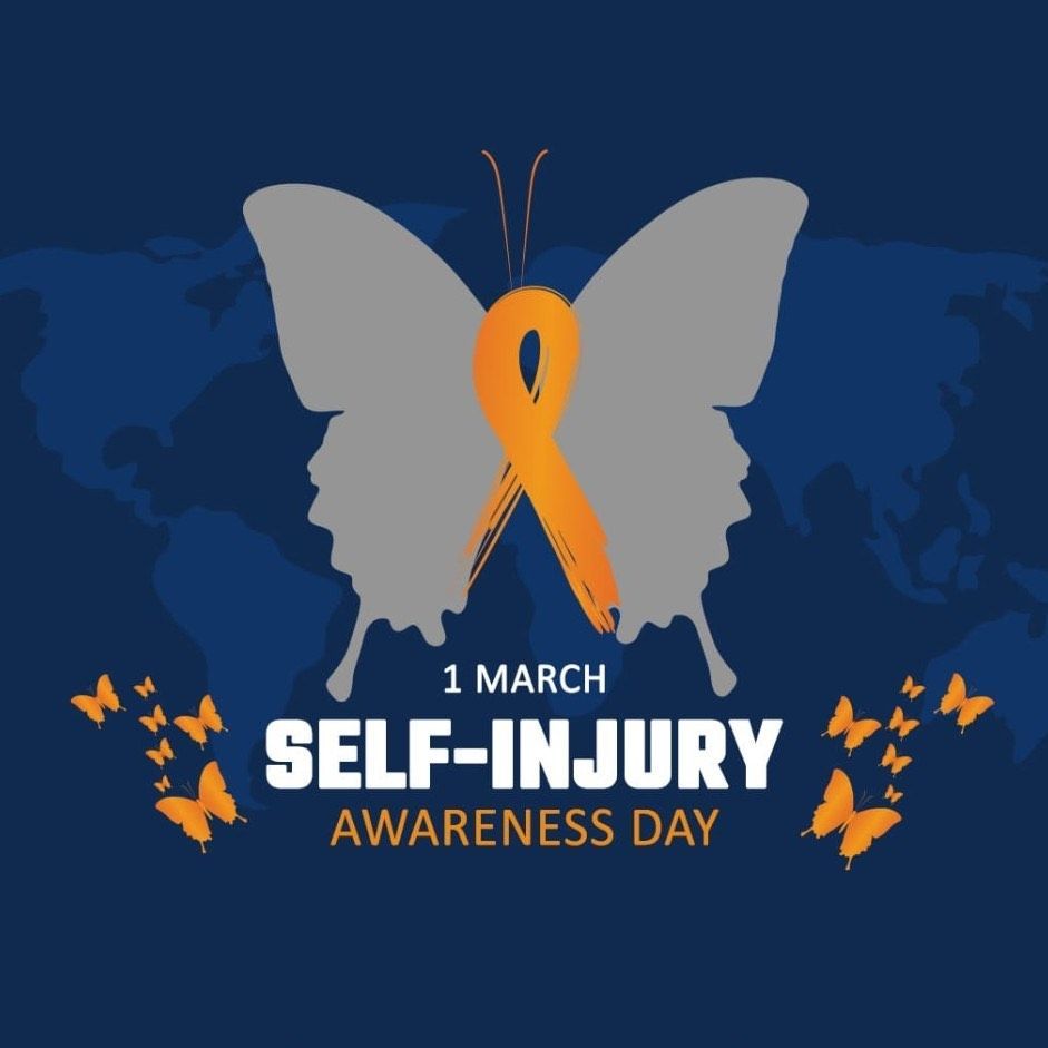 It 's ok that you 're not ok by megan devine