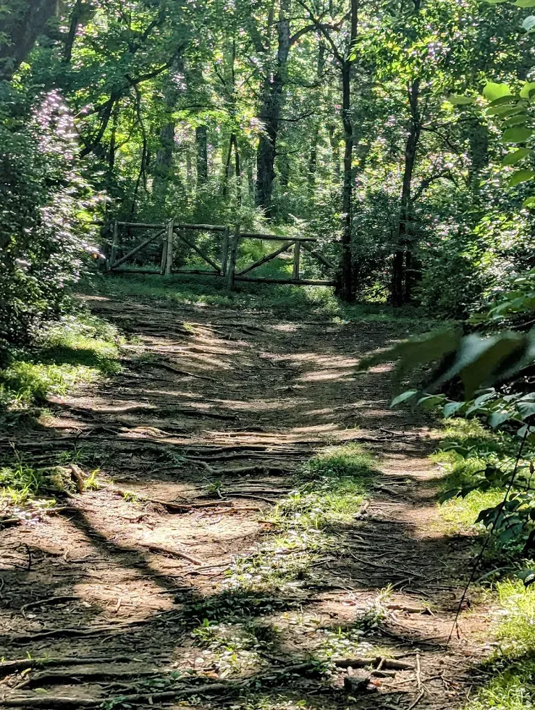 People walking outdoors at an event, many wearing blue shirts, some holding signs on a sunny day.