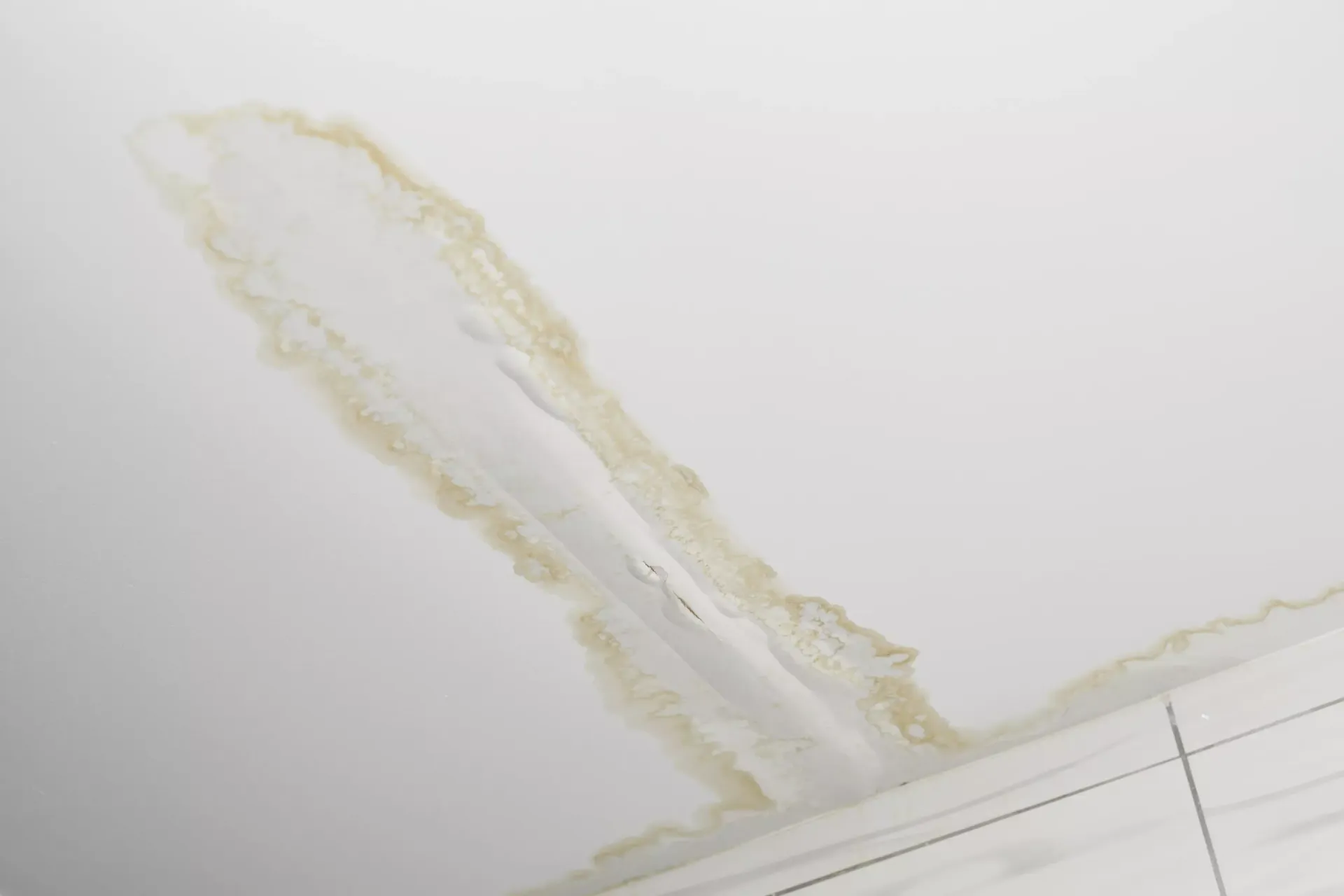 commercial drain cleaning