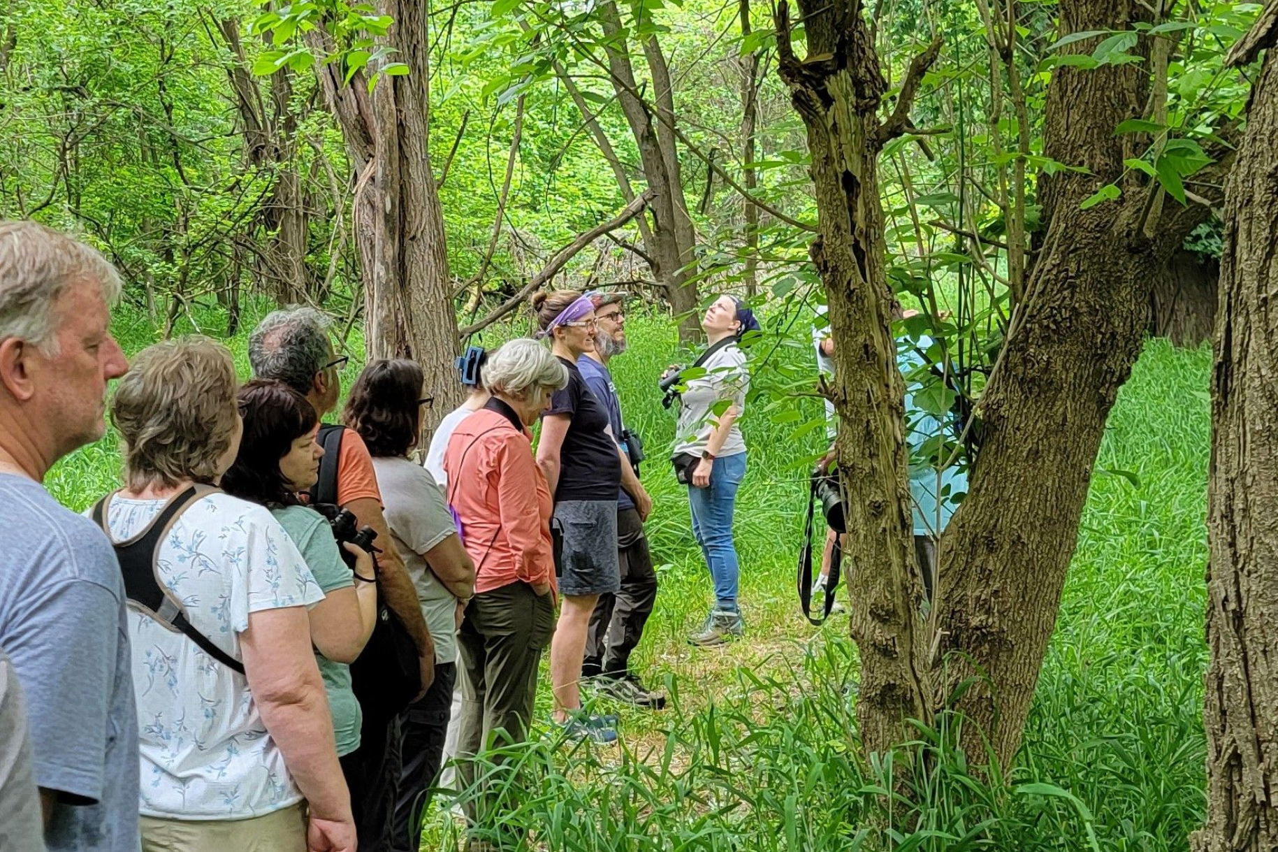 Group of people on a guided tour in a lush green forest, looking at a tree.