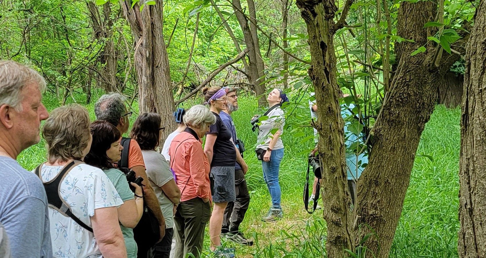 A group of people are standing in the woods looking at trees.