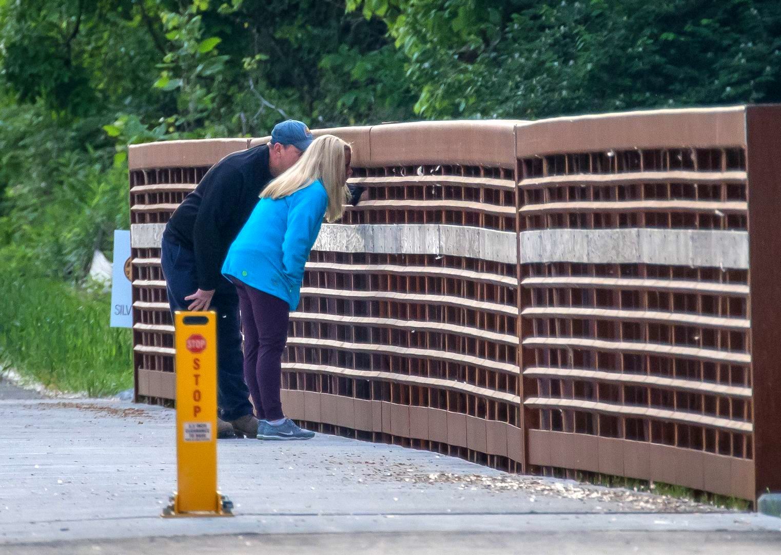 A man and a woman looking over at Silver Creek.